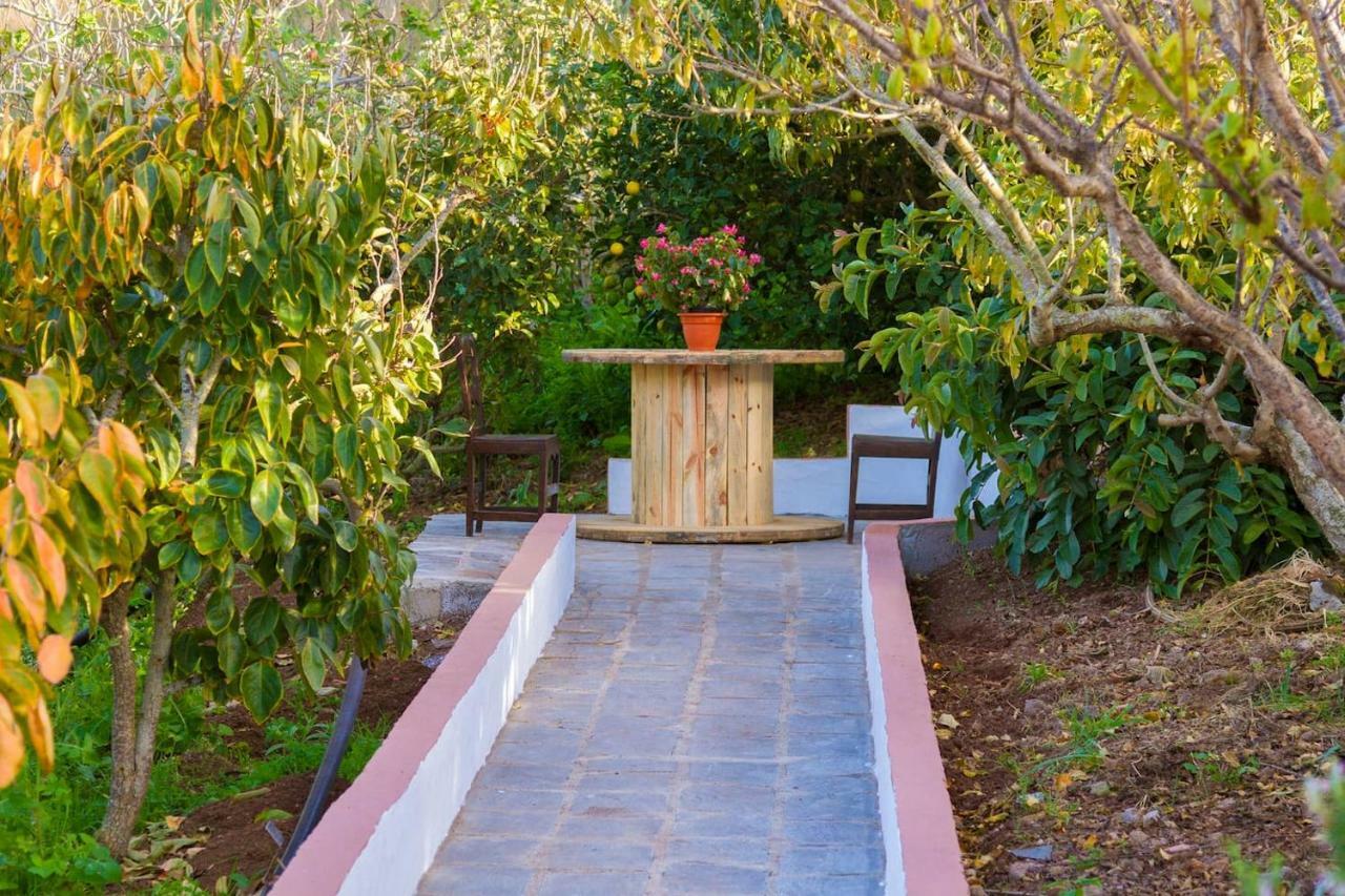 Casa Cueva Aday Hébergement de vacances Santa Maria de Guia de Gran Canaria