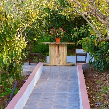 Casa Cueva Villa Aday Santa Maria de Guia de Gran Canaria Extérieur photo